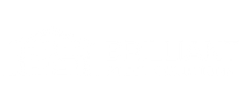 Brilliant Steel